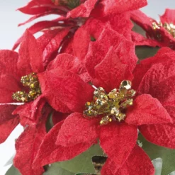 2 Compositions Florales De Noël Avec Poinsettias Et Panier Tissé 3 2 Compositions Florales De Noël Avec Poinsettias Et Panier Tissé -Pearl Noël Soldes Boutique 2 compositions florales de noel avec poinsettias et panier tisse ref NC9846 1
