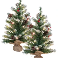 2 Sapins De Noël Avec Guirlande - 30 LED - 60 Cm