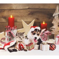 Tableau De Noël à 3 LED Avec Des Bébés Animaux 60 X 40 Cm